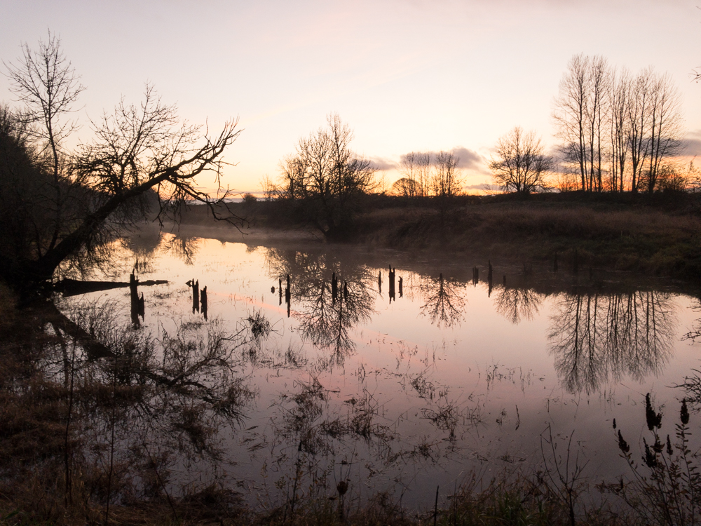 Vancouver Lake-0093.jpg